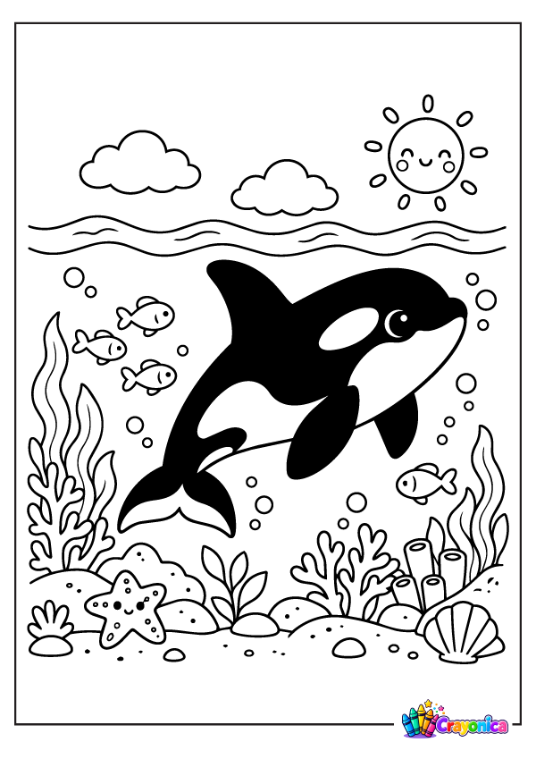 Cute orca whale swimming underwater with coral, shells, bubbles, and sea plants coloring page